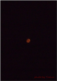 紅い月