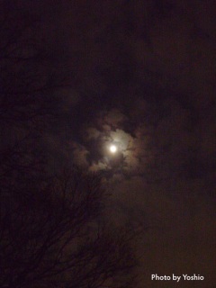 夜に浮かぶ月